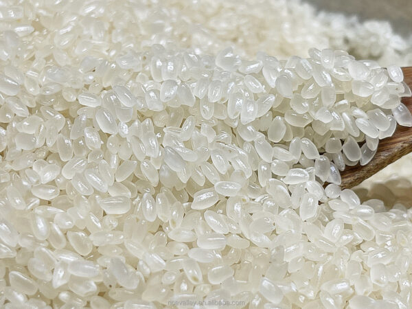 Short Grain