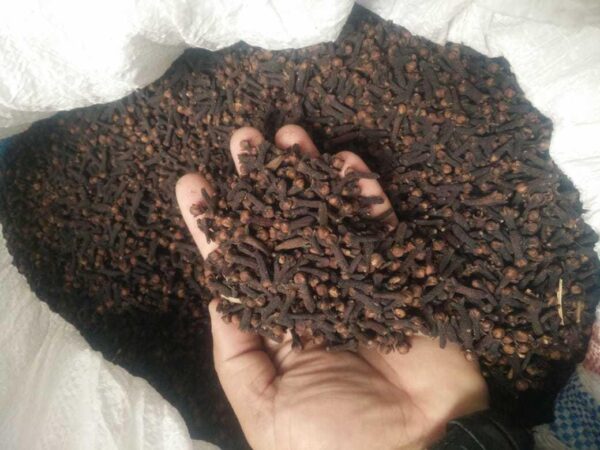 Whole Cloves