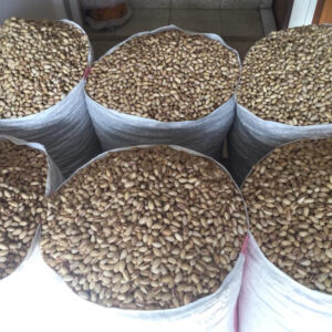 Pistachio Nuts