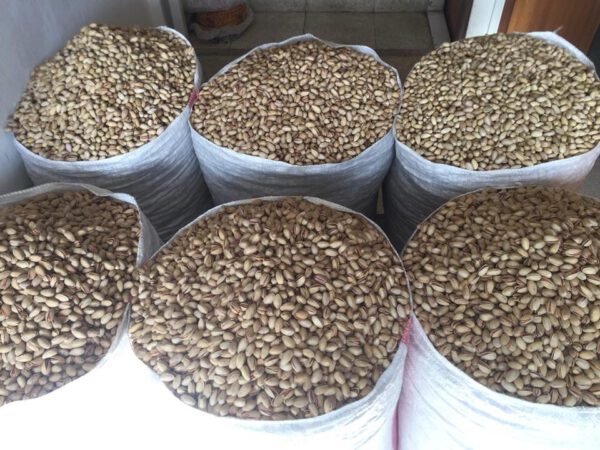 Pistachio Nuts