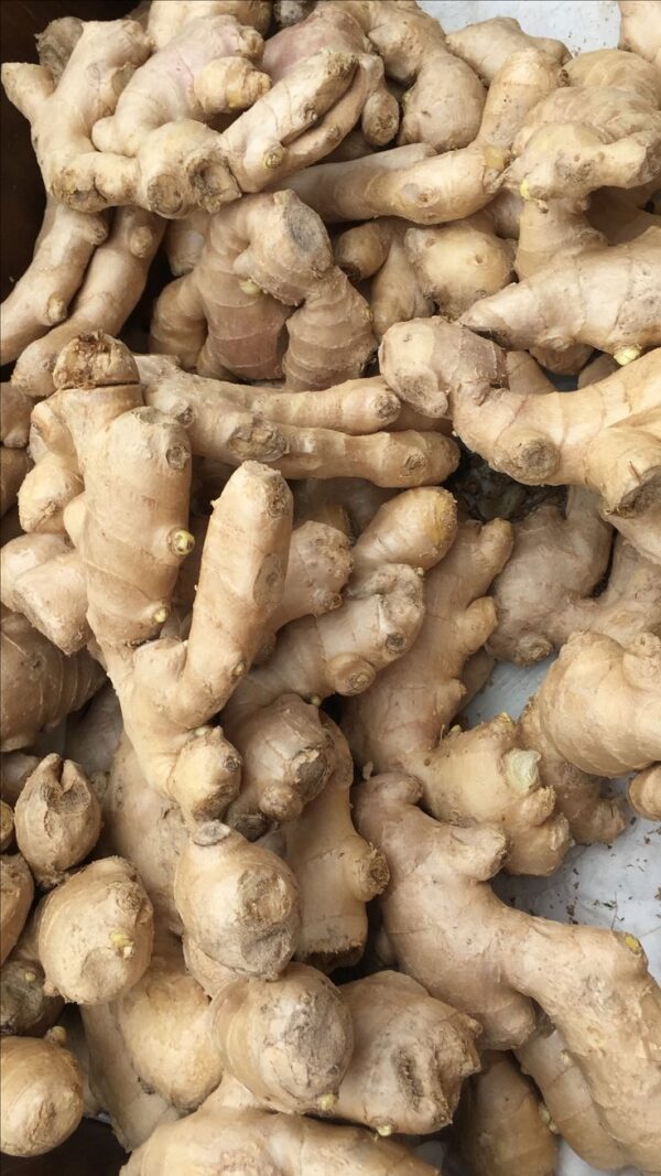 Dry Ginger 150gm UP