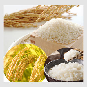 Camolina Rice