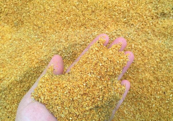 Rolled Cracked Corn 25kg