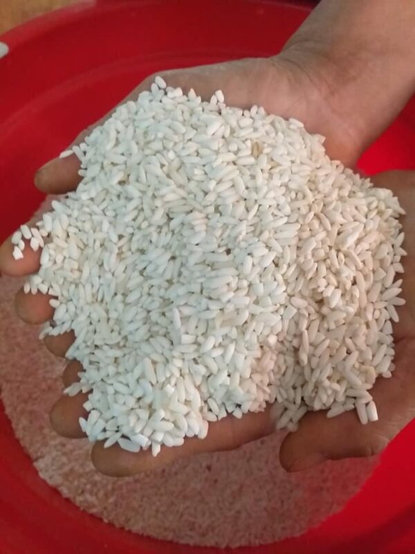 Glutinous Rice - Image 4