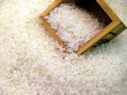 Japonica Rice