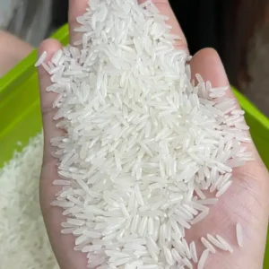 Jasmine Rice