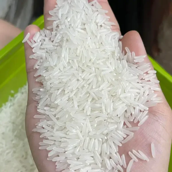 Jasmine Rice - Image 2